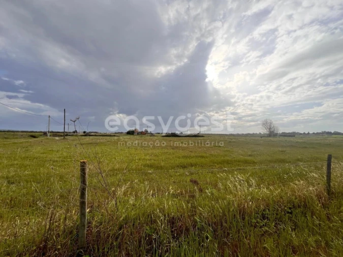 Terreno para Venda em Alpiarça Foto 17