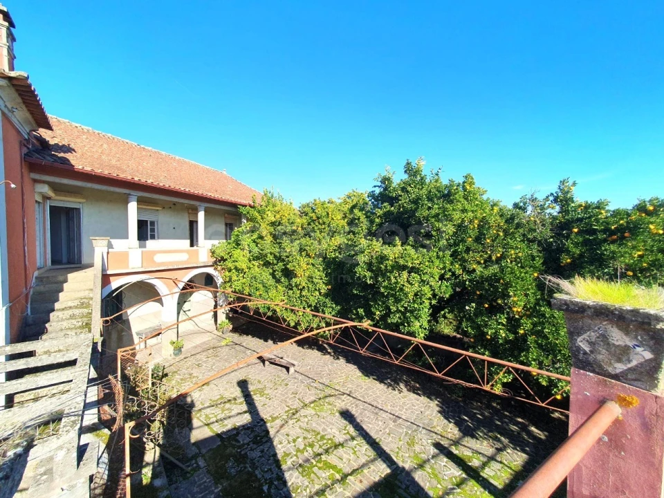 Moradia T3 para Venda em São Miguel do Outeiro e Sabugosa Foto 2