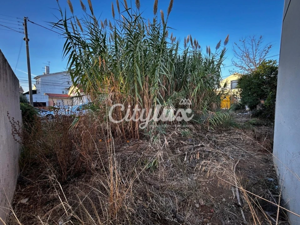 Terreno para Venda em Carcavelos e Parede Foto 8