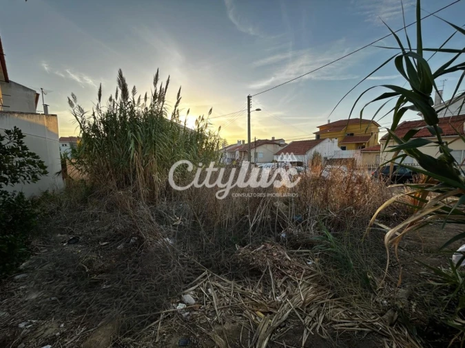 Terreno para Venda em Carcavelos e Parede Foto 6