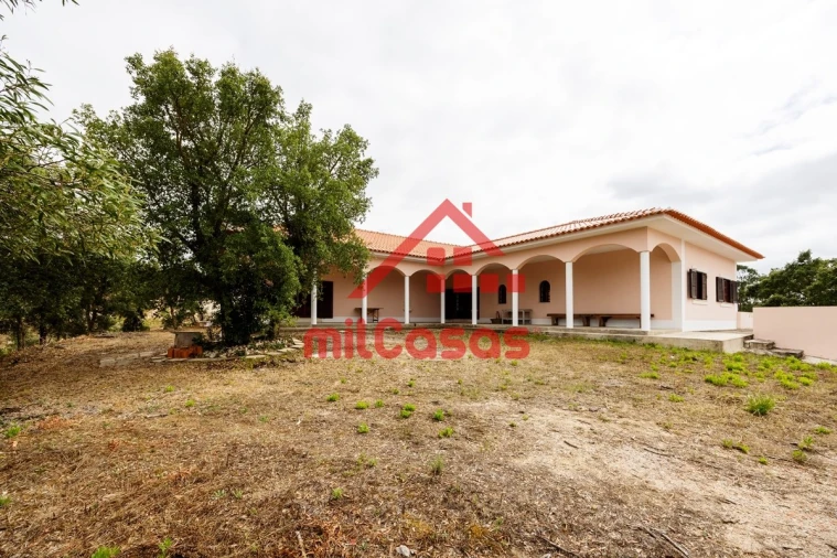 Quinta T3 para Venda em Santa Maria, São Pedro e Matacães Foto 3