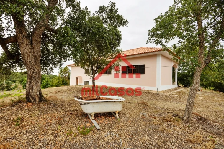 Quinta T3 para Venda em Santa Maria, São Pedro e Matacães Foto 25