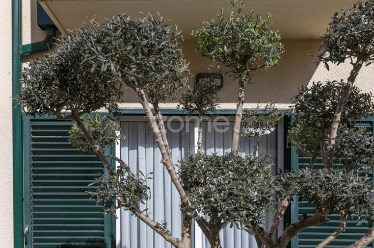 Moradia T3 para Venda em Arvore Foto 35