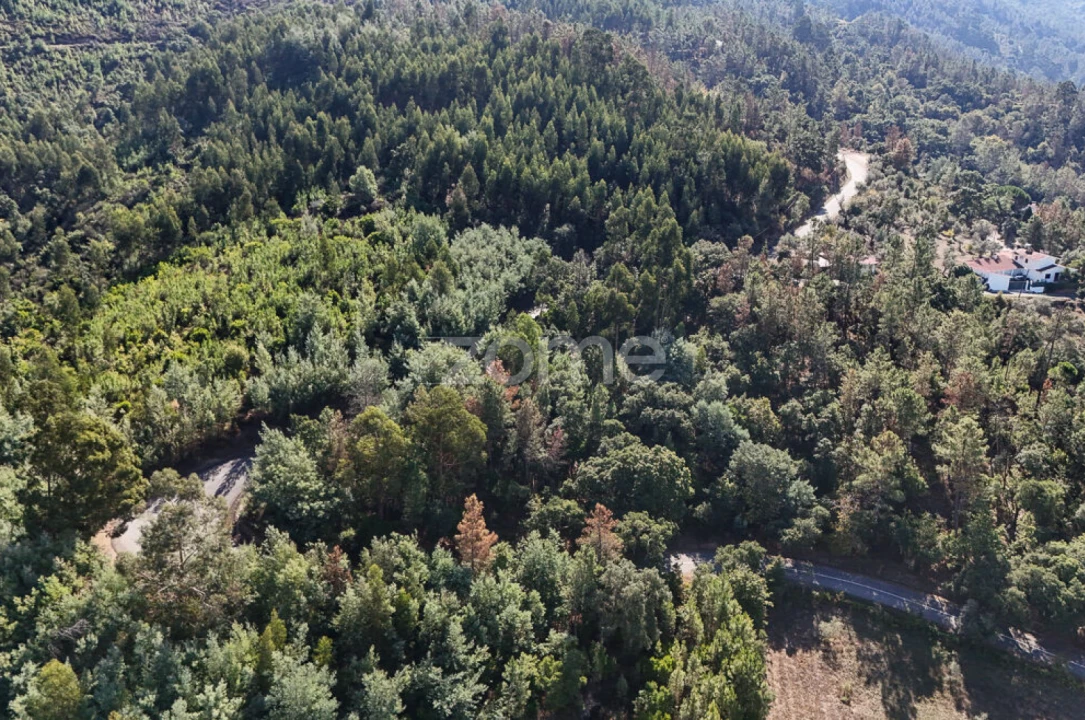 Terreno para Venda em Folques Foto 10