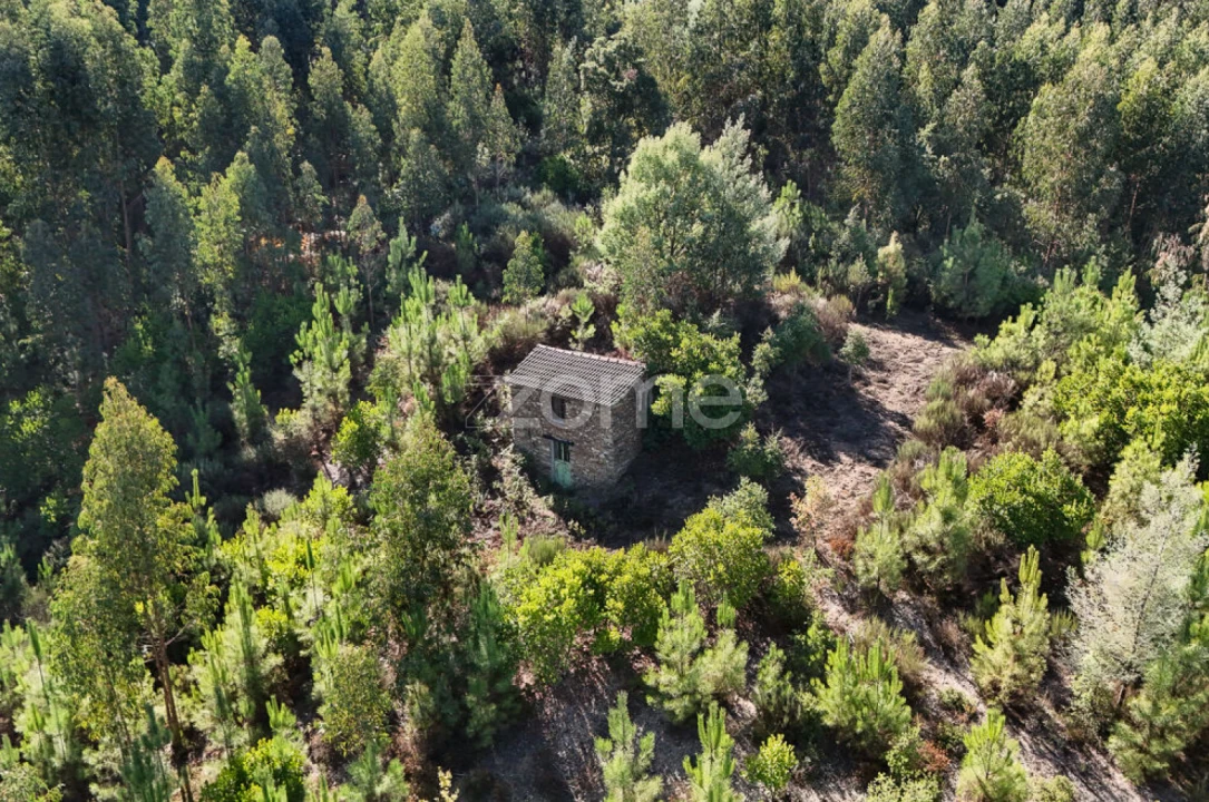 Terreno para Venda em Folques Foto 7