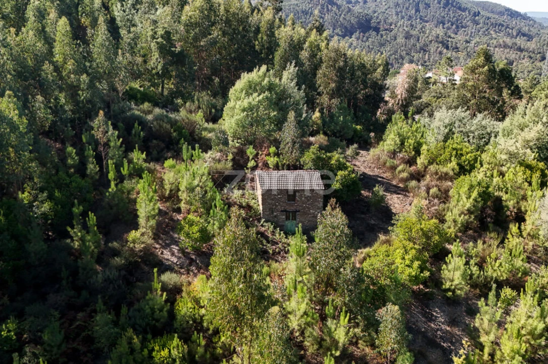 Terreno para Venda em Folques Foto 11
