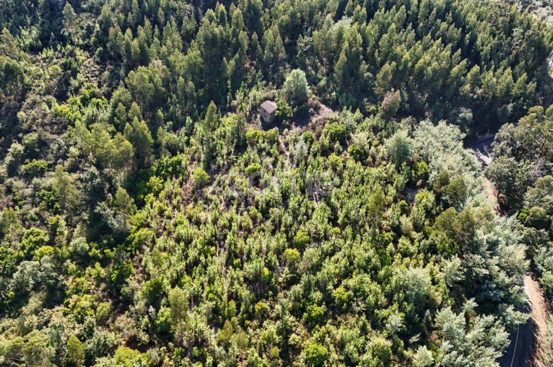 Terreno para Venda em Folques Foto 9