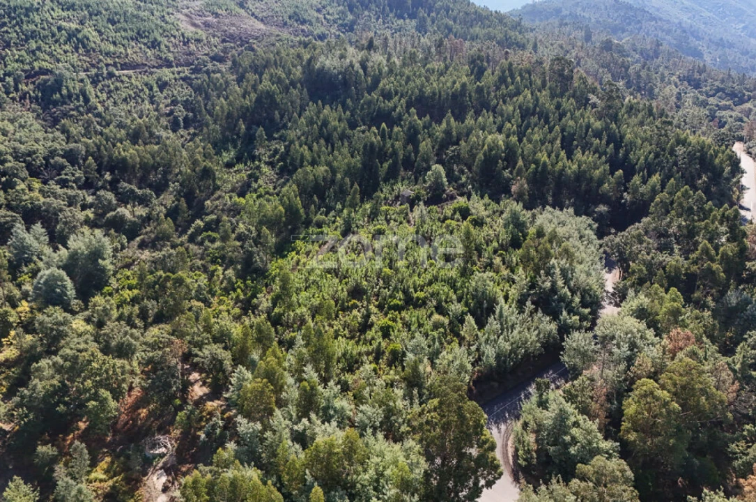 Terreno para Venda em Folques Foto 17