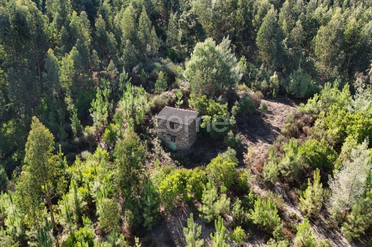 Terreno para Venda em Folques Foto 7