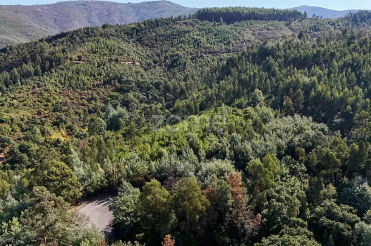 Terreno para Venda em Folques Foto 18