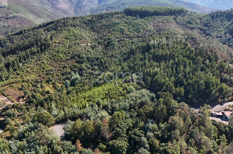 Terreno para Venda em Folques Foto 19