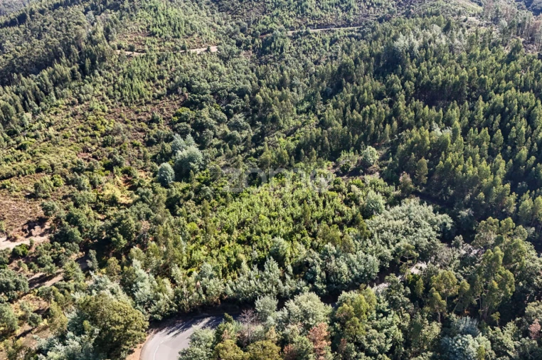 Terreno para Venda em Folques Foto 20