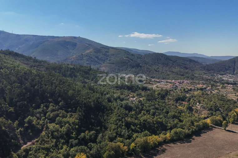Terreno para Venda em Folques Foto 21