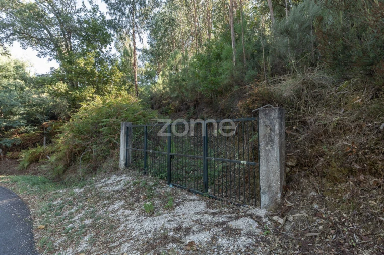 Terreno para Venda em Folques Foto 3