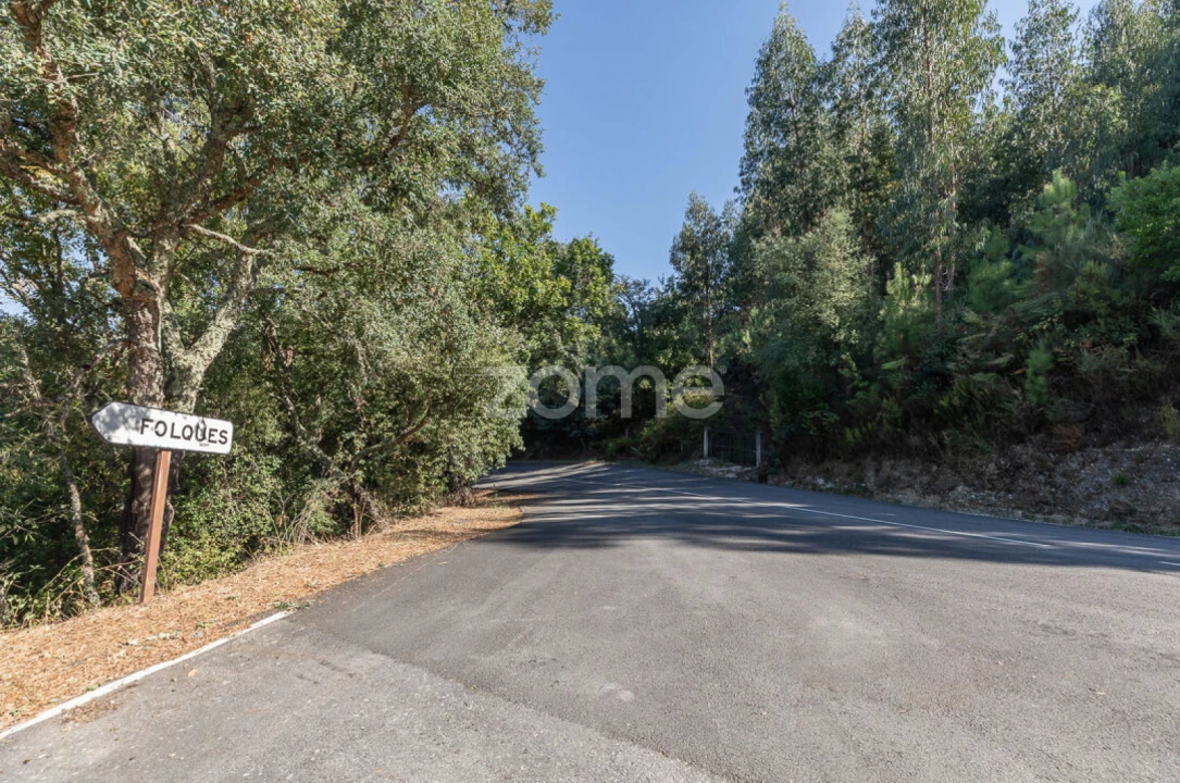 Terreno para Venda em Folques Foto 4