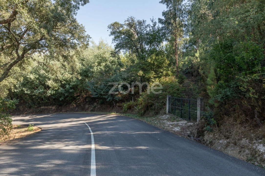 Terreno para Venda em Folques Foto 5