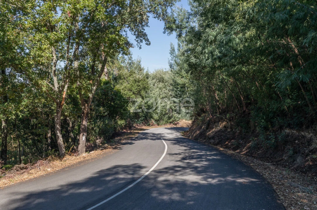 Terreno para Venda em Folques Foto 6