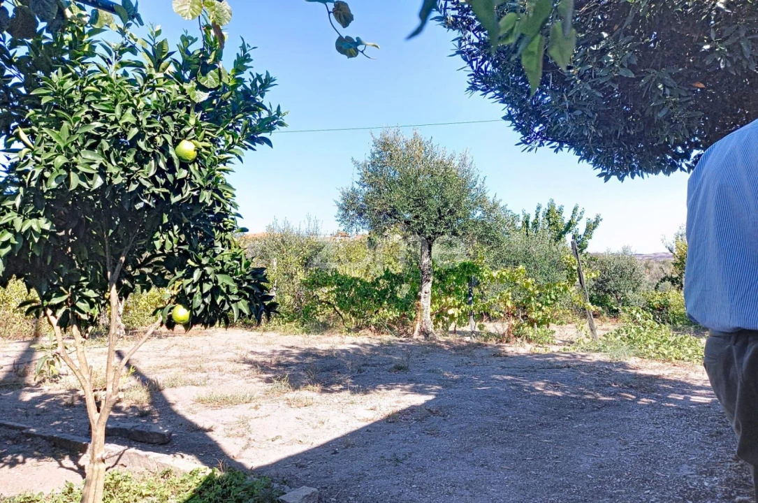 Terreno para Venda em Quintela de Azurara Foto 14