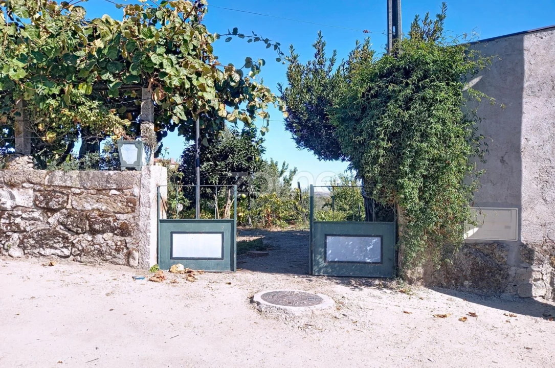 Terreno para Venda em Quintela de Azurara Foto 2