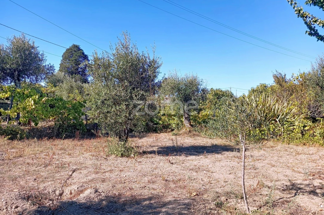 Terreno para Venda em Quintela de Azurara Foto 9