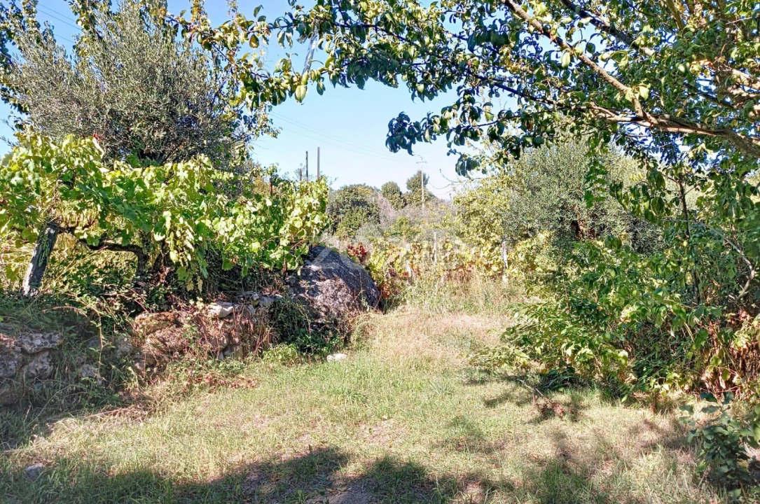 Terreno para Venda em Quintela de Azurara Foto 10