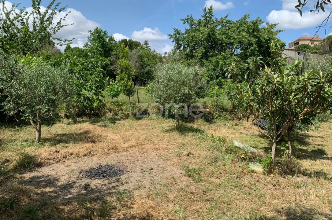 Terreno para Venda em Quintela de Azurara Foto 17
