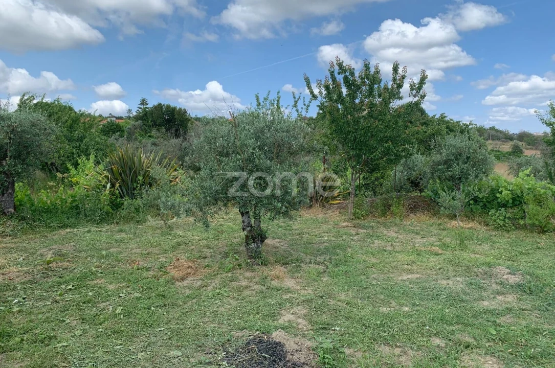 Terreno para Venda em Quintela de Azurara Foto 13