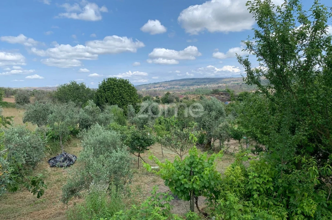 Terreno para Venda em Quintela de Azurara Foto 16