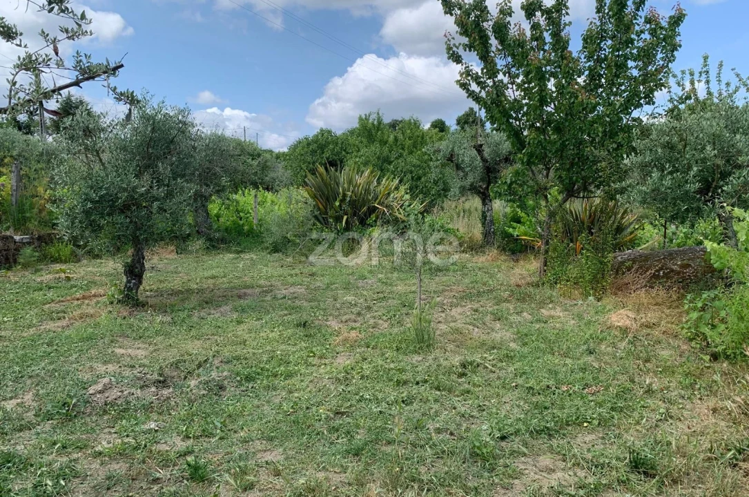 Terreno para Venda em Quintela de Azurara Foto 15