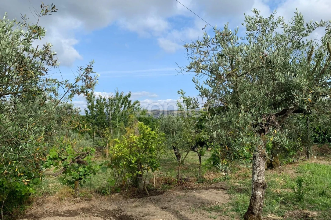 Terreno para Venda em Quintela de Azurara Foto 21