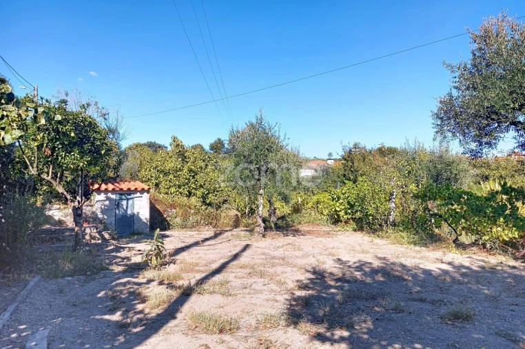 Terreno para Venda em Quintela de Azurara Foto 8
