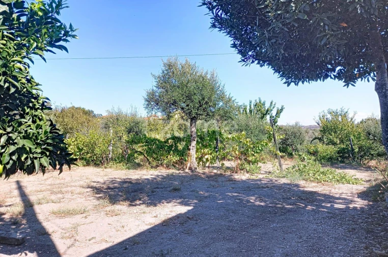 Terreno para Venda em Quintela de Azurara Foto 9