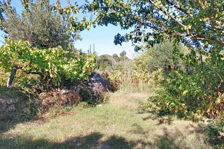 Terreno para Venda em Quintela de Azurara Foto 11