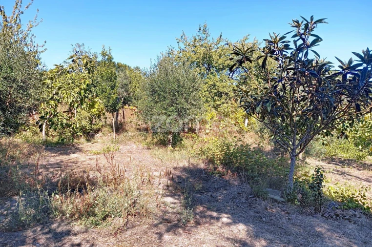 Terreno para Venda em Quintela de Azurara Foto 13