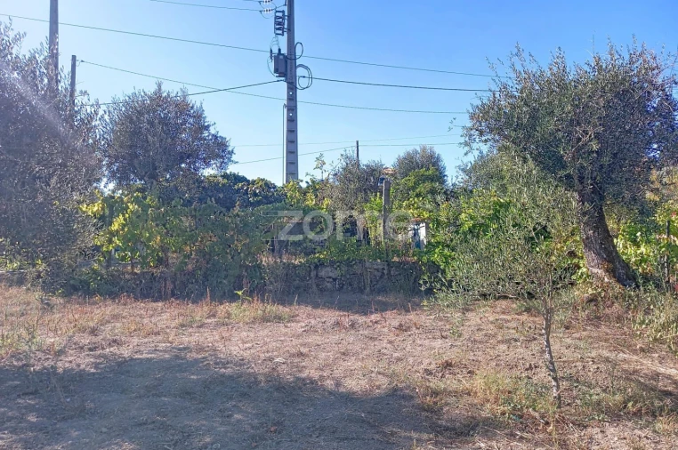 Terreno para Venda em Quintela de Azurara Foto 7