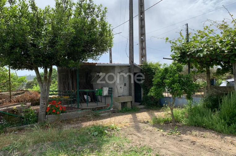 Terreno para Venda em Quintela de Azurara Foto 4