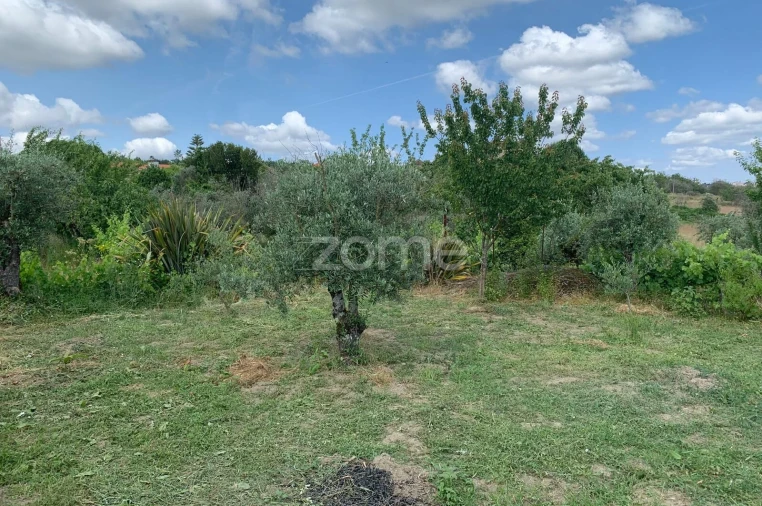 Terreno para Venda em Quintela de Azurara Foto 14