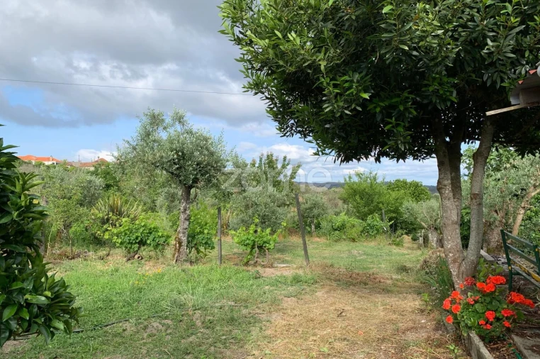 Terreno para Venda em Quintela de Azurara Foto 3