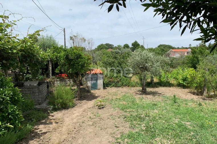 Terreno para Venda em Quintela de Azurara Foto 6
