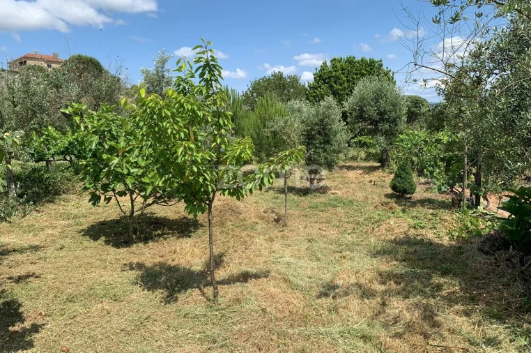 Terreno para Venda em Quintela de Azurara Foto 19