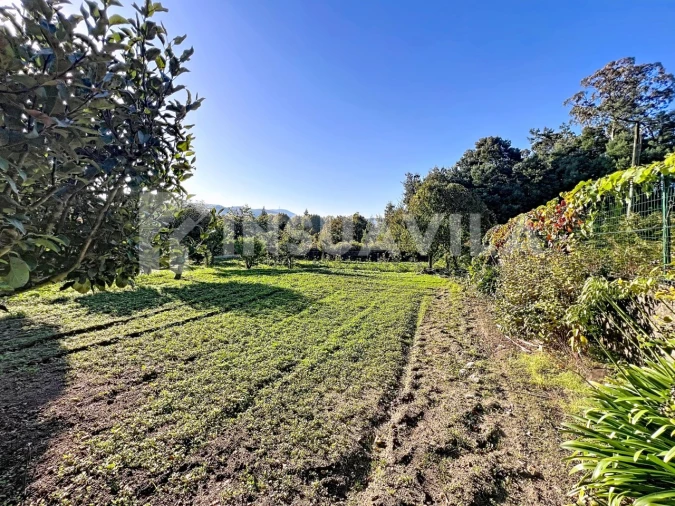 Moradia T4 para Venda em Vilar de Mouros Foto 28