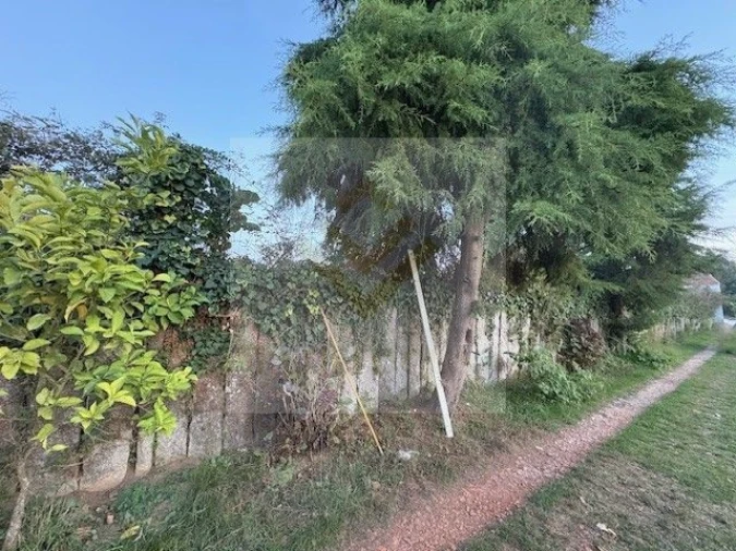 Terreno para Venda em Serzedo e Perosinho Foto 12