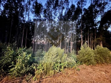 Terreno para Venda em Serzedo e Perosinho