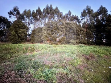 Terreno para Venda em Serzedo e Perosinho