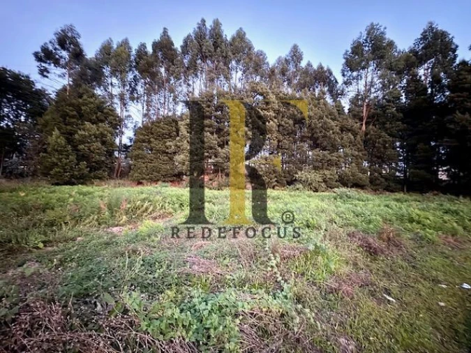 Terreno para Venda em Serzedo e Perosinho Foto 9