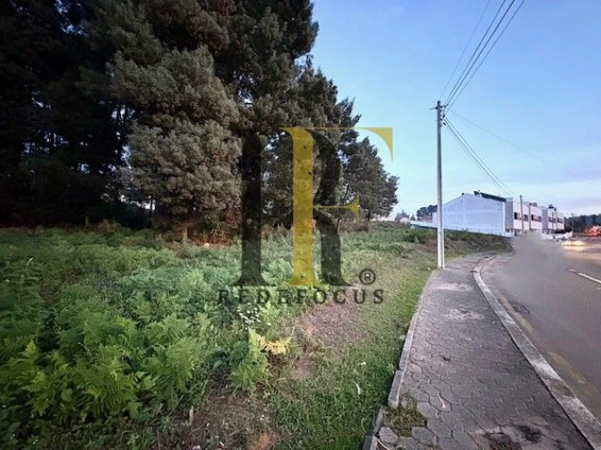 Terreno para Venda em Serzedo e Perosinho Foto 7