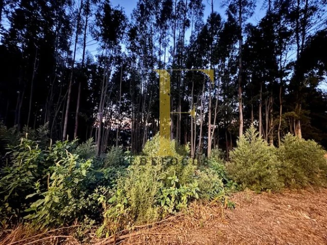 Terreno para Venda em Serzedo e Perosinho Foto 12