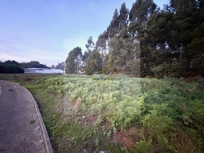 Terreno para Venda em Serzedo e Perosinho Foto 8