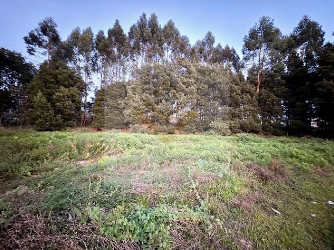 Terreno para Venda em Serzedo e Perosinho Foto 9