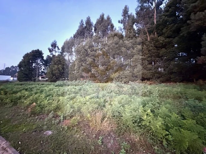 Terreno para Venda em Serzedo e Perosinho Foto 5